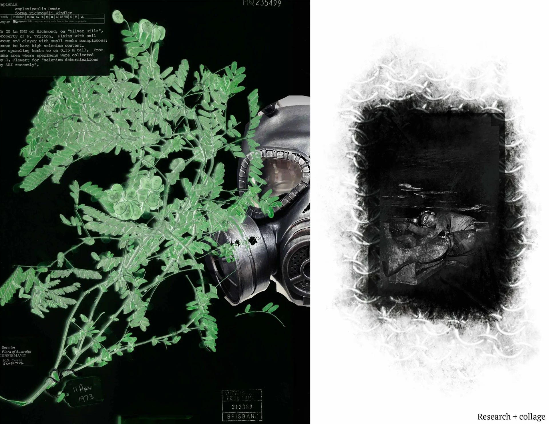 Green botanical, gas mask, and charcoal research collage